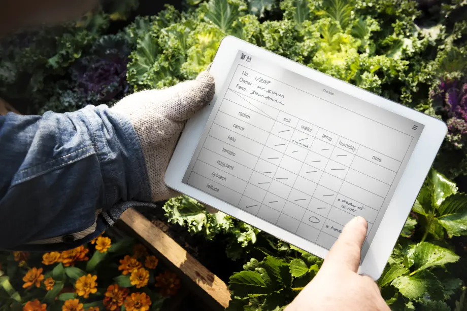 Стратегия машинного обучения для бизнеса